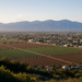 Ranking in Ventura County: 10 Best SEO Companies for Oxnard, CA (2026)